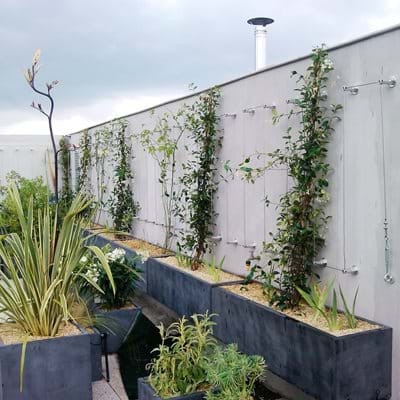 French Roof Garden 